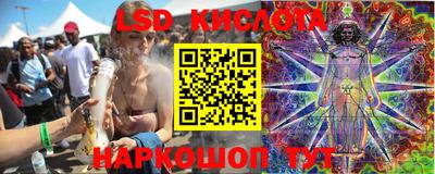 ГАЛЛЮЦИНОГЕННЫЕ ГРИБЫ Славгород