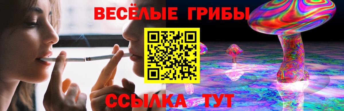 Галлюциногенные грибы прущие грибы  Вход с VPN  Нурлат 